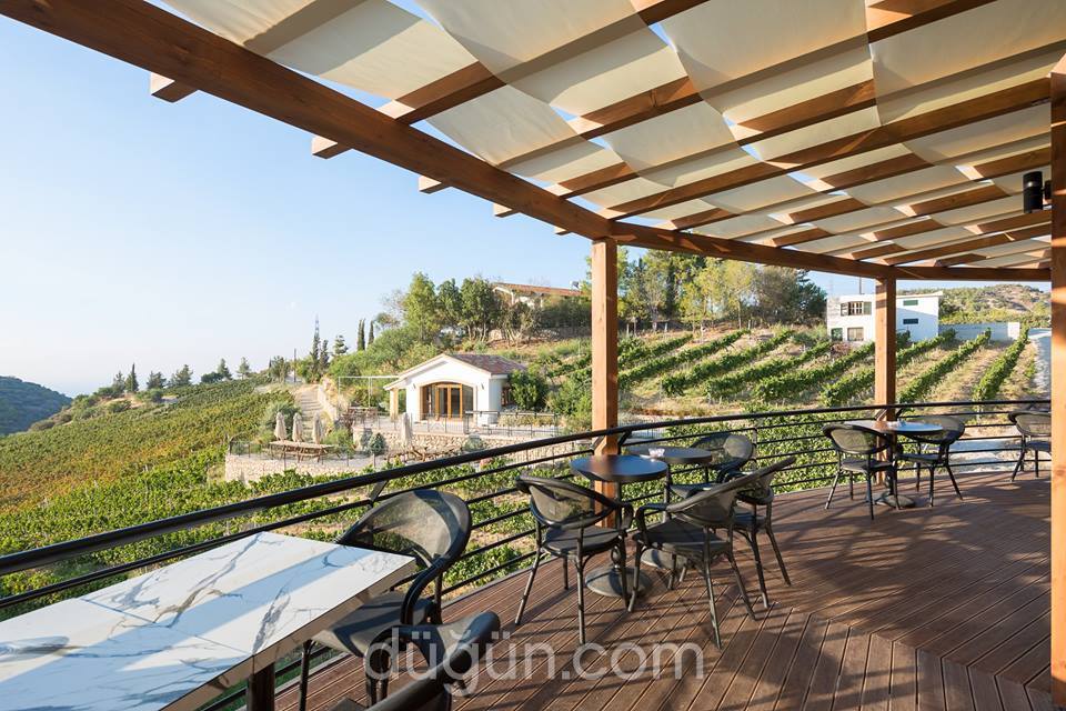 Gillham Wineyard Hotel