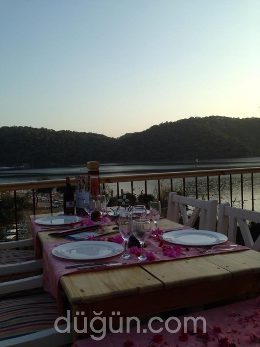 Sea Horse Beach Club