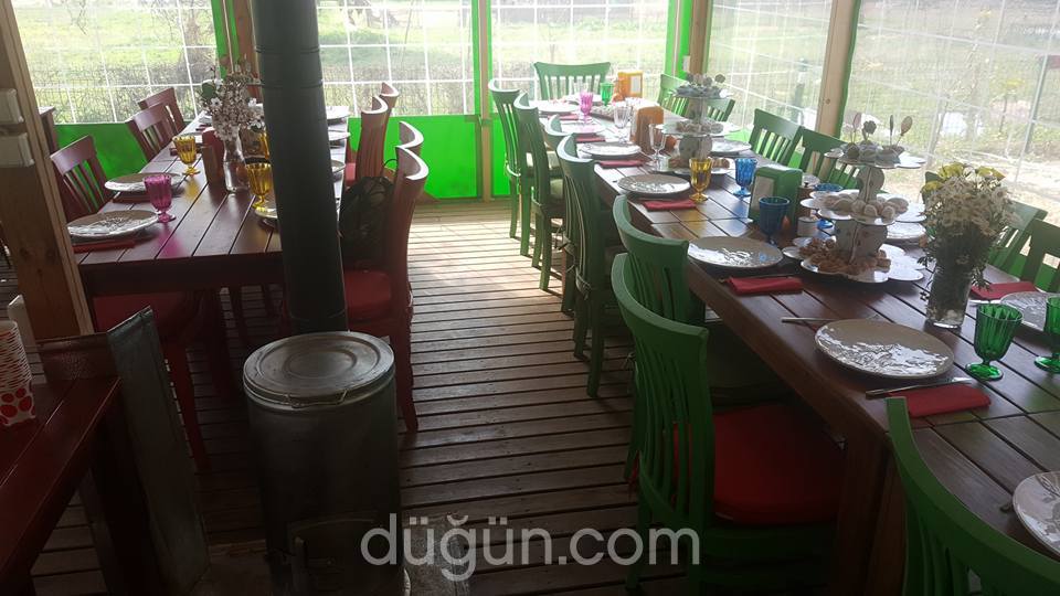 Pina Balık Restaurant