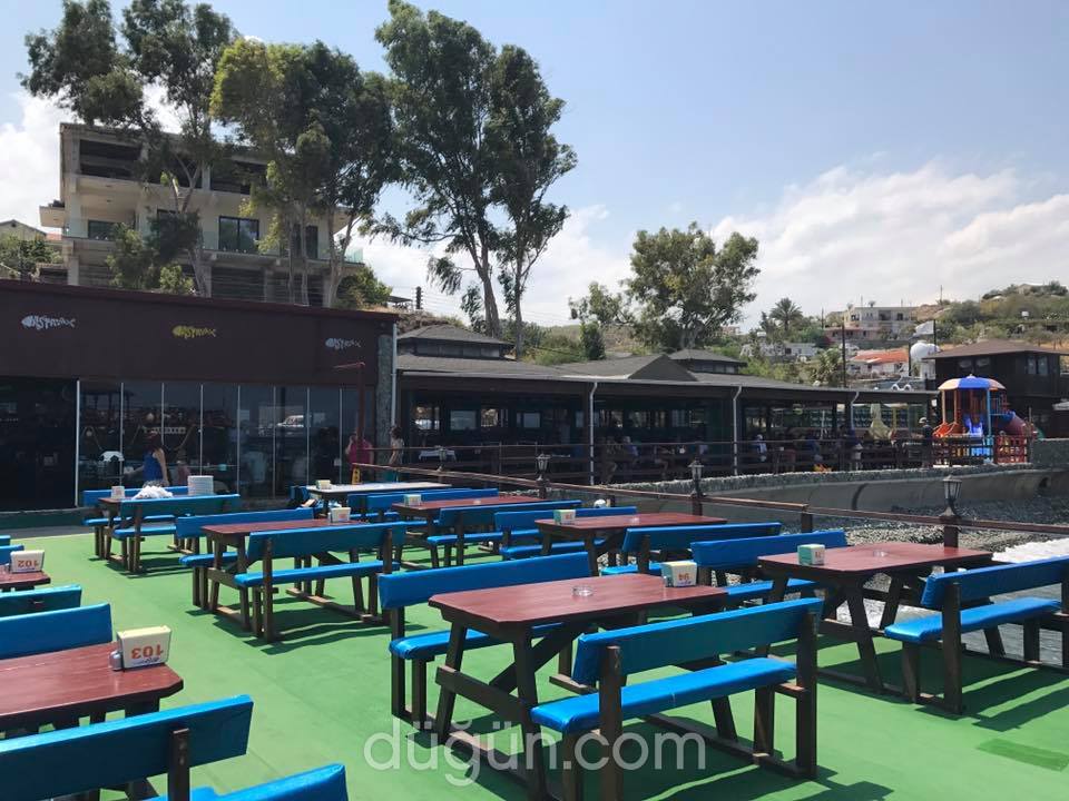 Aphrodite Beachfront Resort