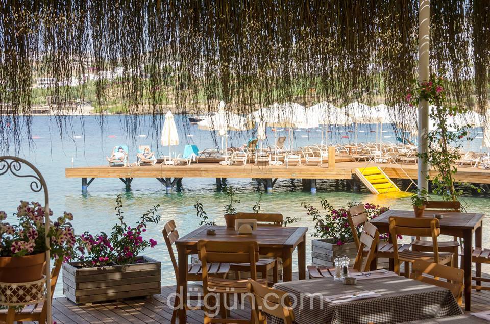 The Highlight Bodrum