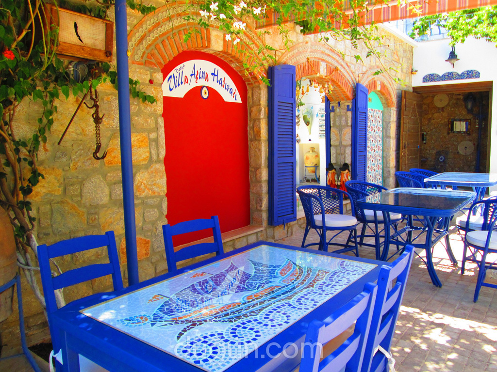 Villa Aşina