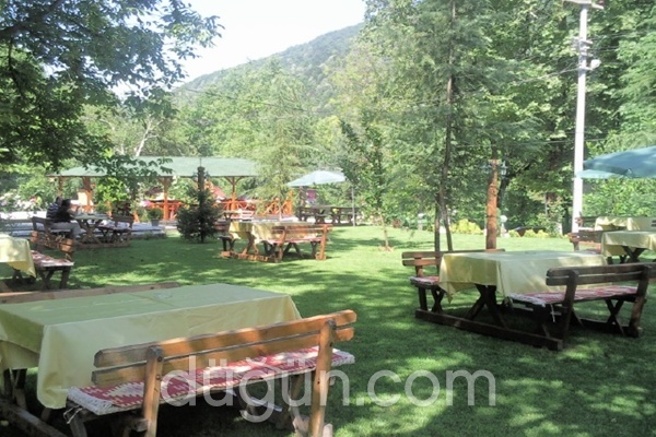 Özde Alabalık Dağ Evi