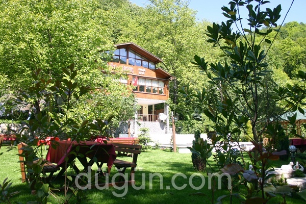 Özde Alabalık Dağ Evi