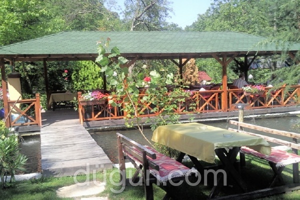 Özde Alabalık Dağ Evi