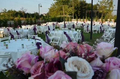 Hanlı Kır Bahçesi