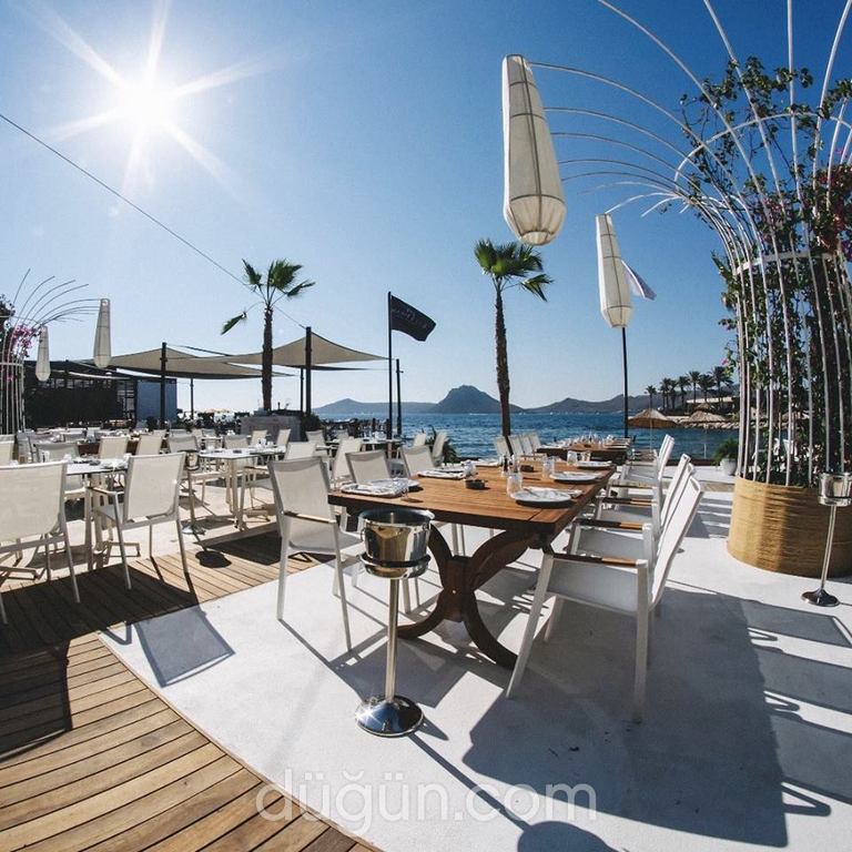 Bodrum Meyhaneleri En Iyi 8 Bodrum Meyhanesi