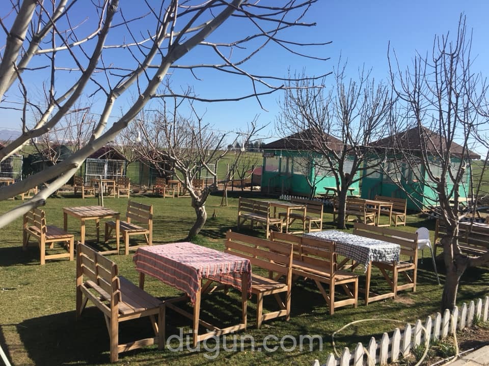 Bölme Doğal Lezzet Çiftliği