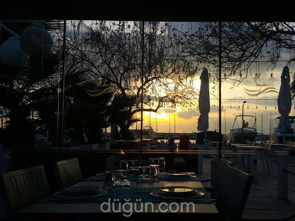 Ayvalık Balıkçısı