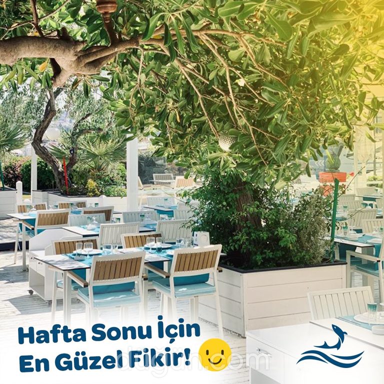 Ayvalık Balıkçısı