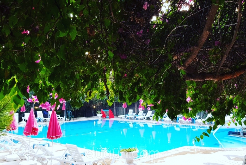Silver Pine Hotel