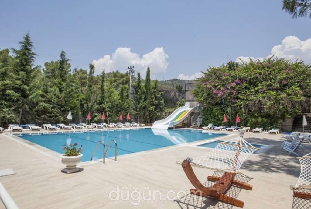 Silver Pine Hotel