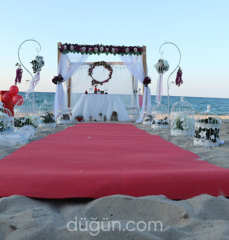 Peri Masalı Organizasyon