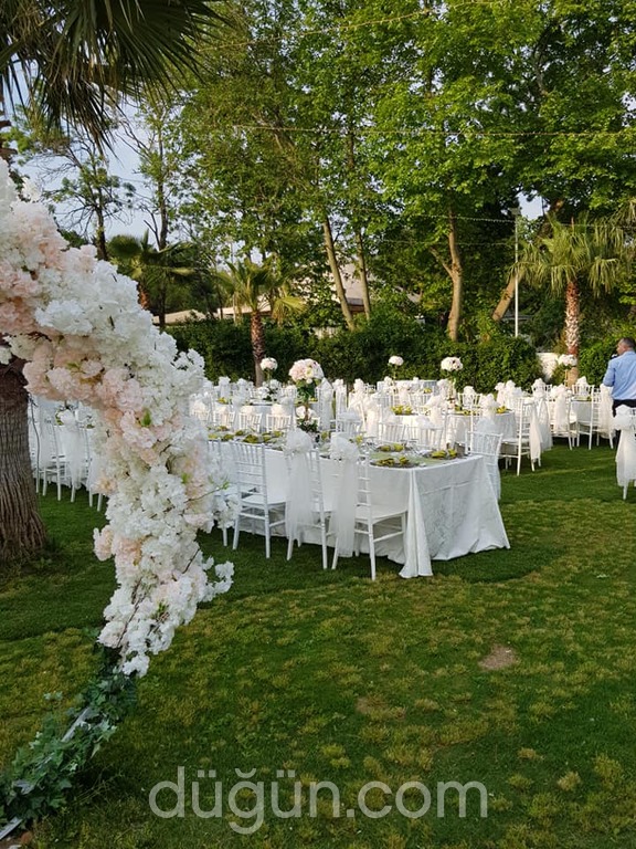 Ay Kına Organizasyonu