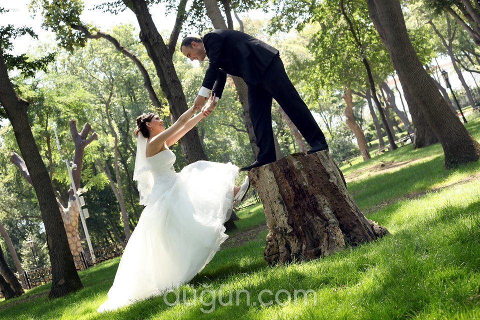 Aslan Fotoğrafçılık