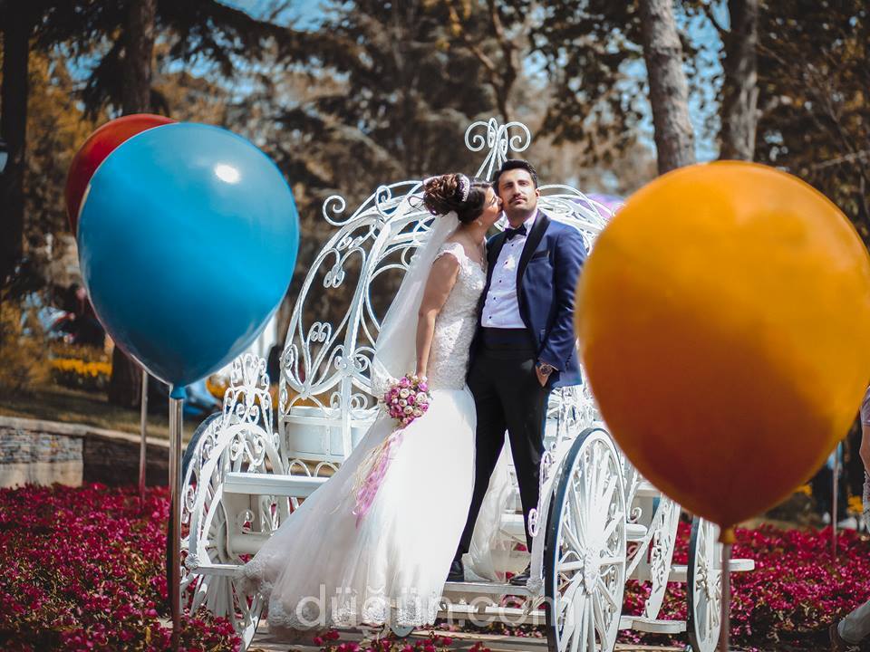 Aslan Fotoğrafçılık