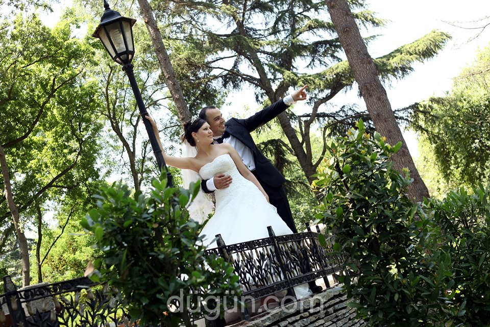 Aslan Fotoğrafçılık