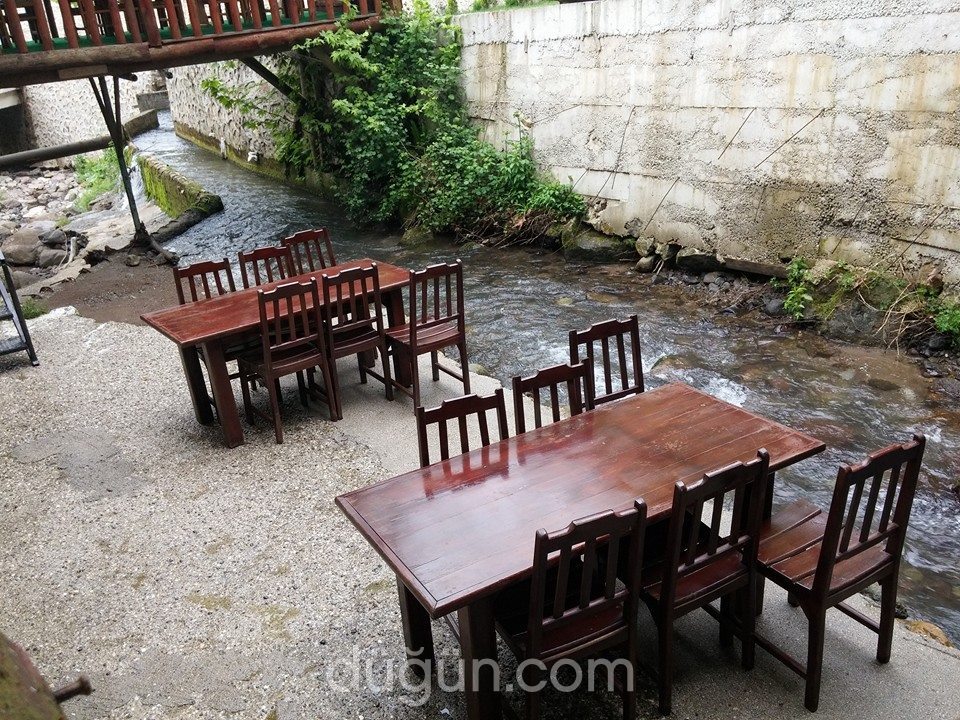 Altındere Dinç Alabalık Restaurant