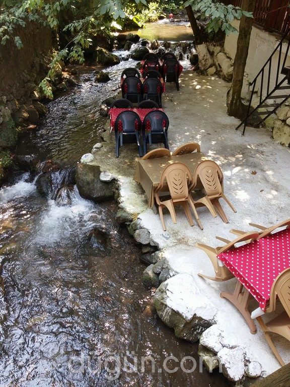 Altındere Dinç Alabalık Restaurant