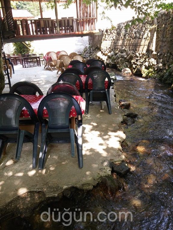 Altındere Dinç Alabalık Restaurant