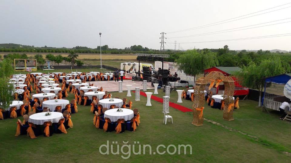 Grand Organizasyon