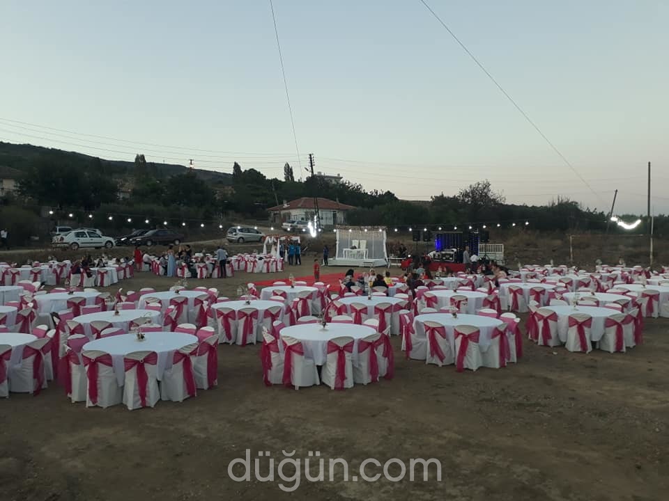 Peri Masalı Organizasyon