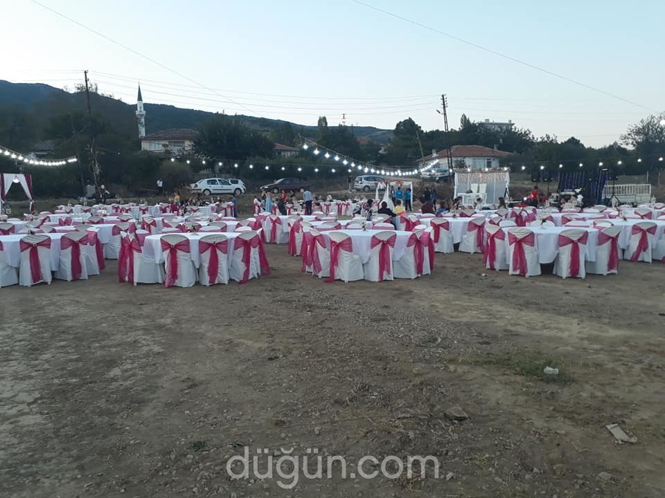 Peri Masalı Organizasyon