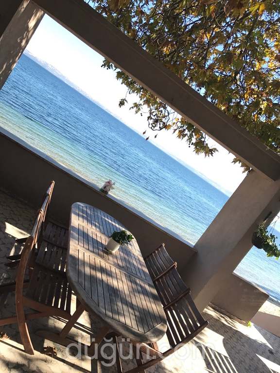 Çınar Ağacı Restaurant