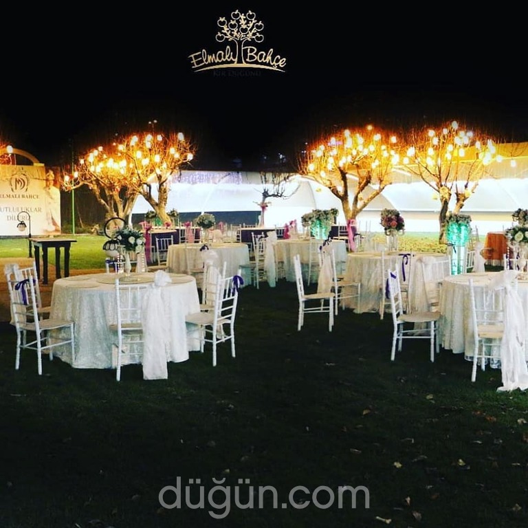 Yıldız Kına Organizasyon