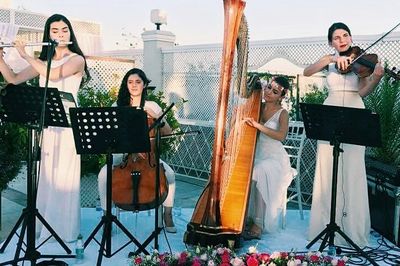 Zeytin Ajans & Organizasyon