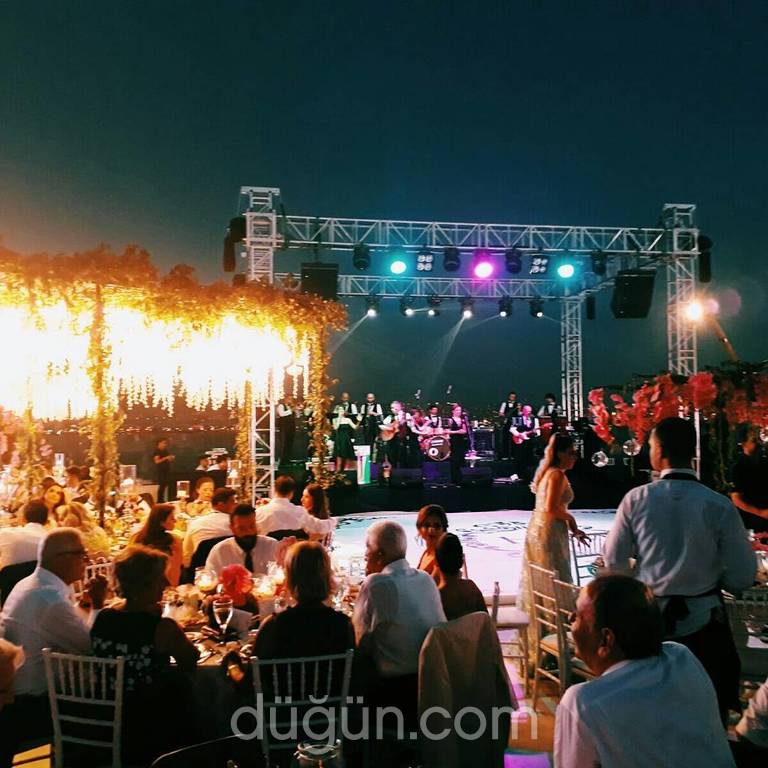 Zeytin Ajans & Organizasyon