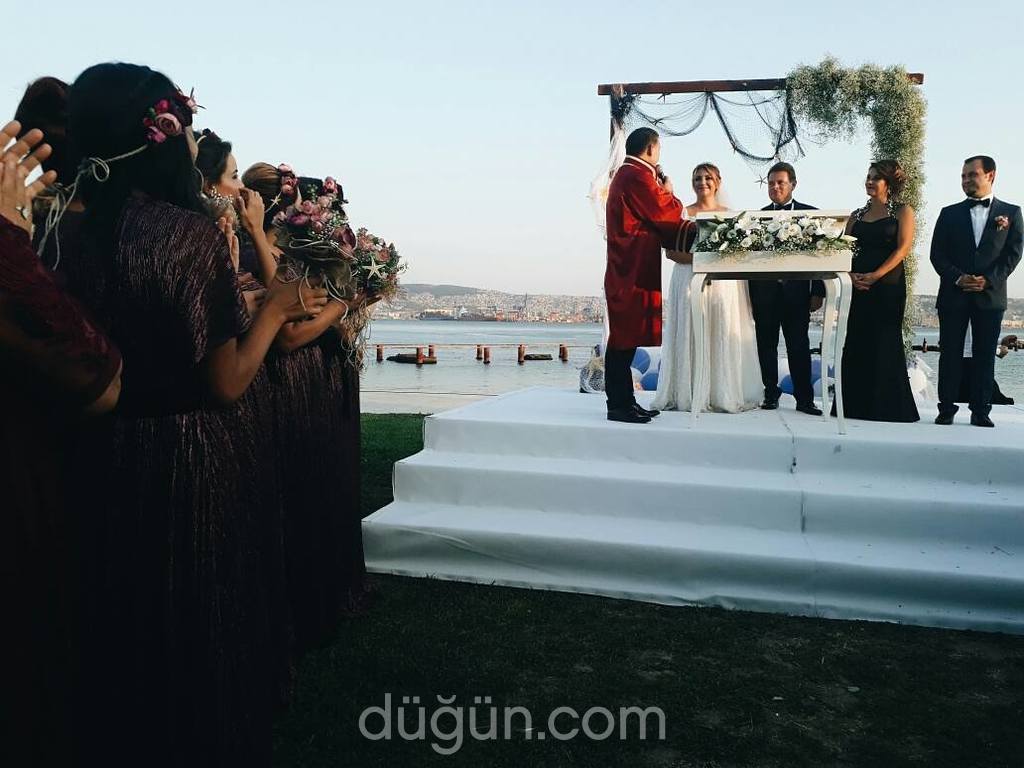 Zeytin Ajans & Organizasyon