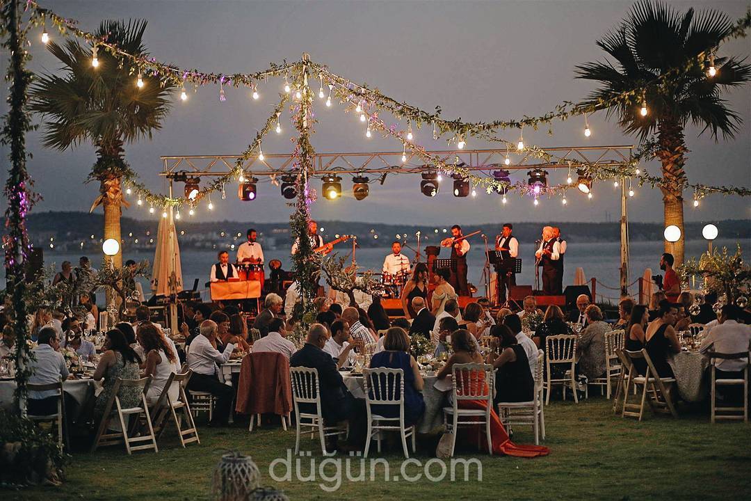 Zeytin Ajans & Organizasyon