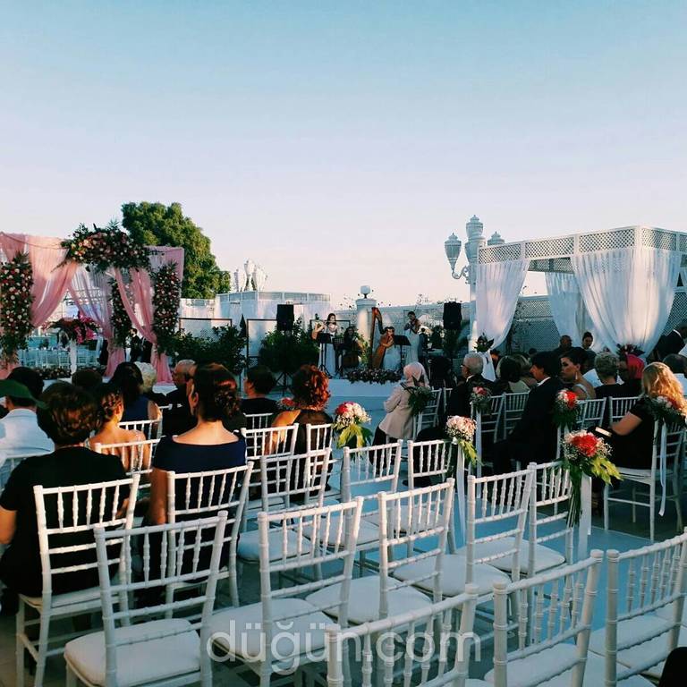 Zeytin Ajans & Organizasyon