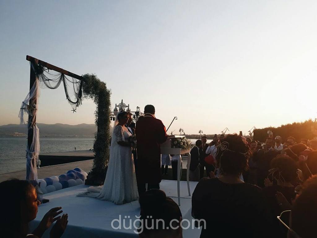 Zeytin Ajans & Organizasyon