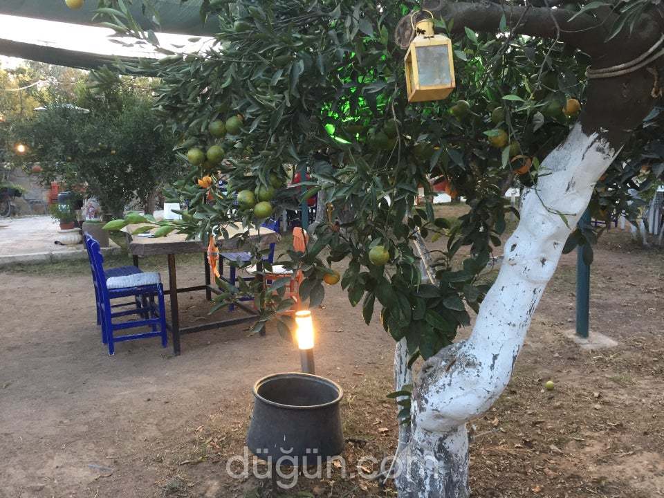 Çökelek Restaurant