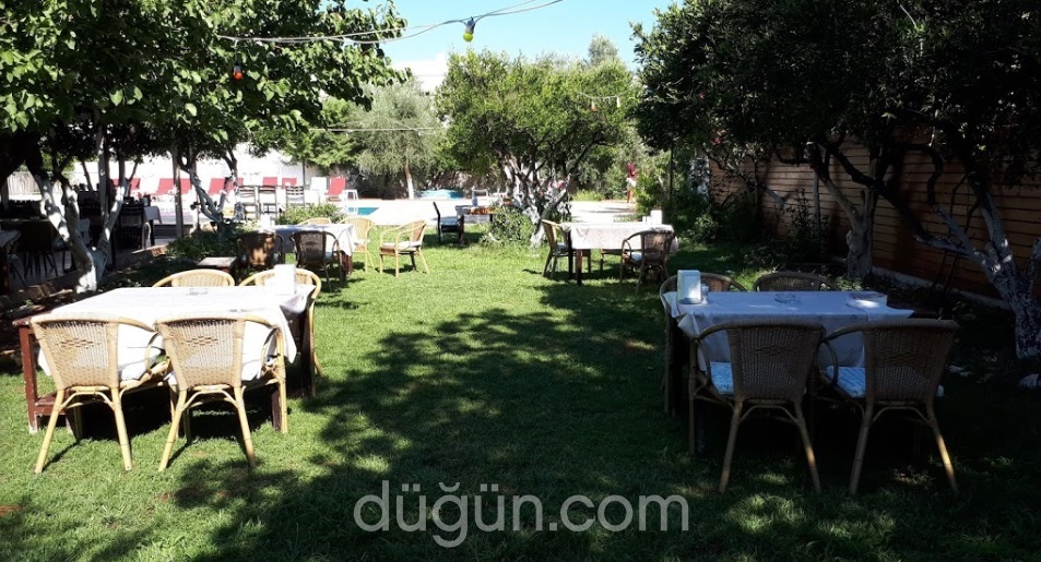 Curly's Demeter Restaurant