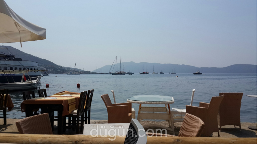 Penguen Cafe & Restaurant