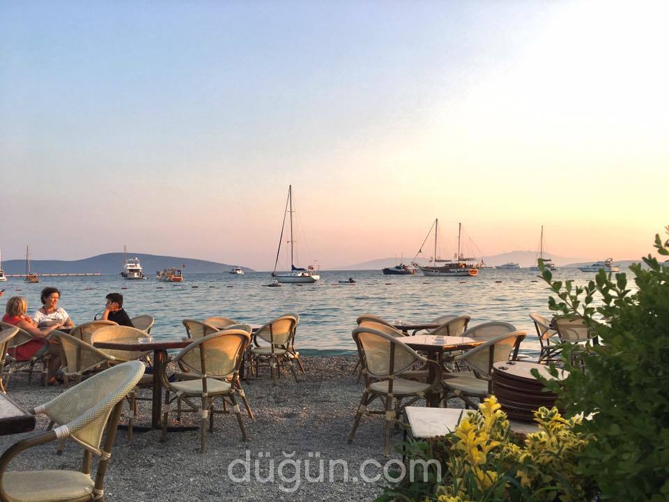 Penguen Cafe & Restaurant