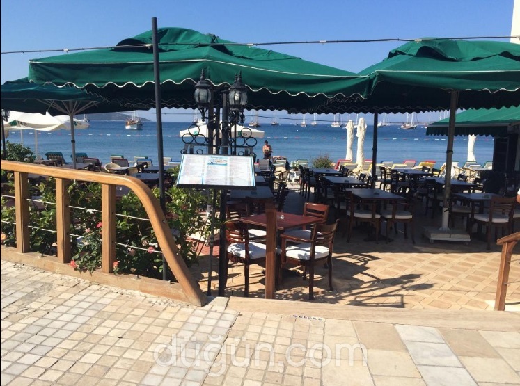 Penguen Cafe & Restaurant