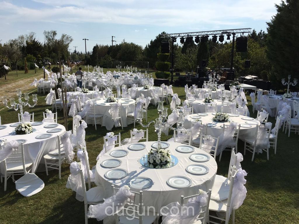 Nilüfer Organizasyon