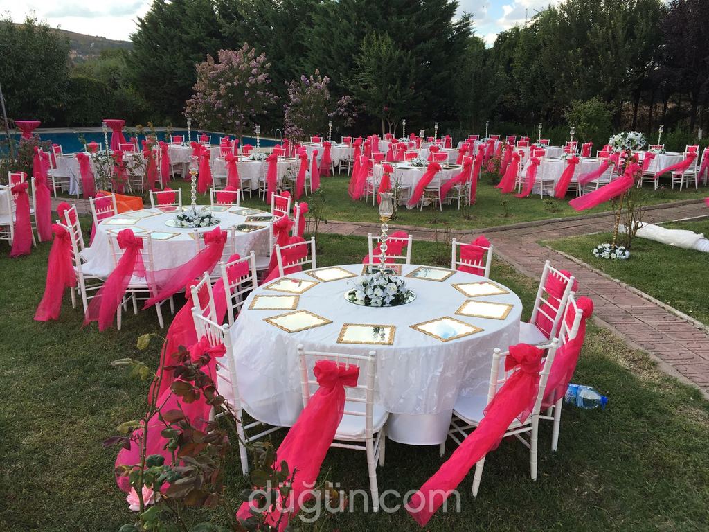 Nilüfer Organizasyon