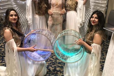 Şah-ı Seyrab Organizasyon