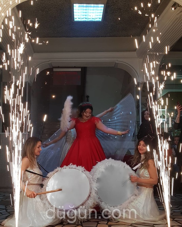 Şah-ı Seyrab Organizasyon