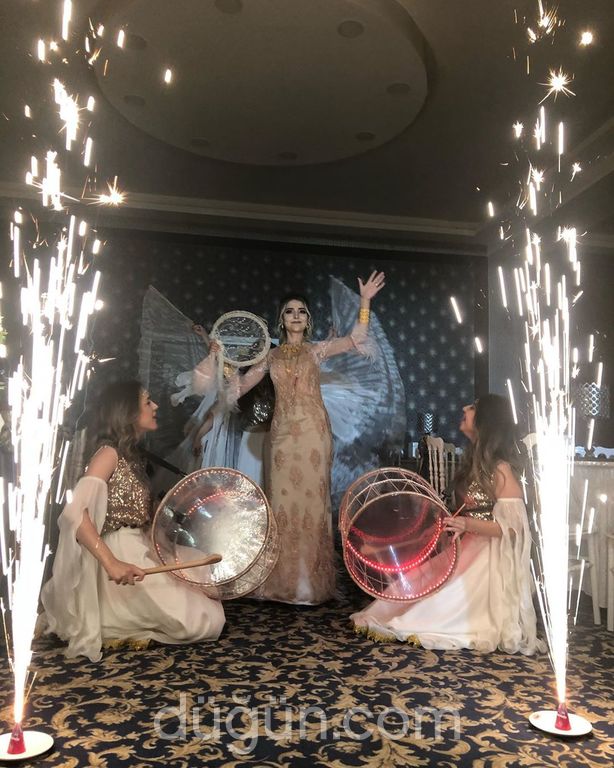 Şah-ı Seyrab Organizasyon