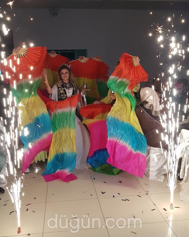 Şah-ı Seyrab Organizasyon