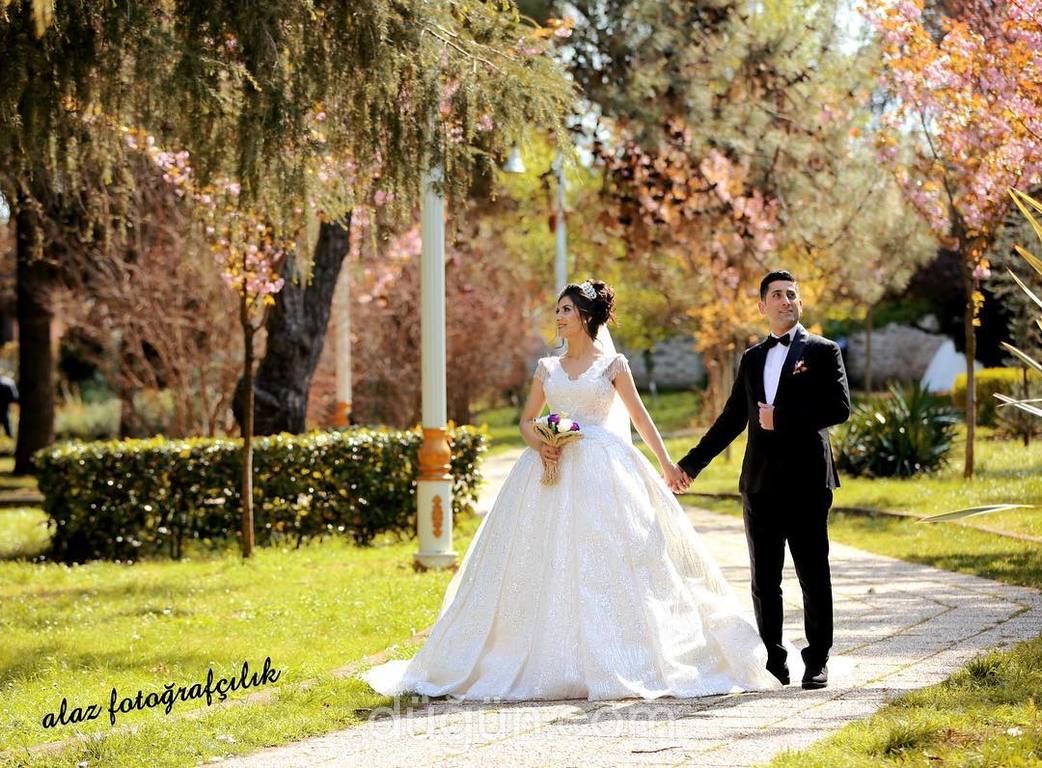 Alaz Fotoğrafçılık