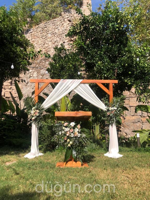 Weds & All Organizasyon