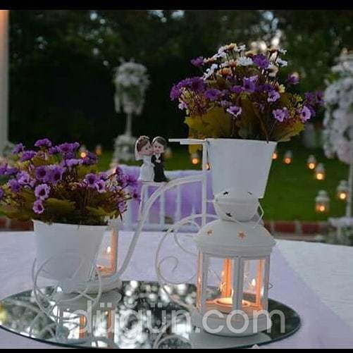 Monalisa Organizasyon