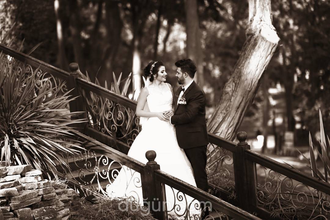 Pigment Prodüksiyon